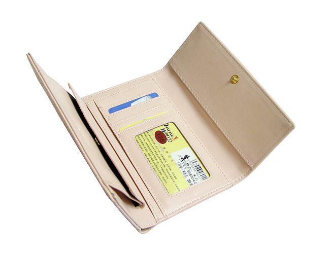 清仓价2013新款正品DW女士长款钱包竖款搭扣淑女女包三折皮夹多功能票夹 DW67414-21-第3张图