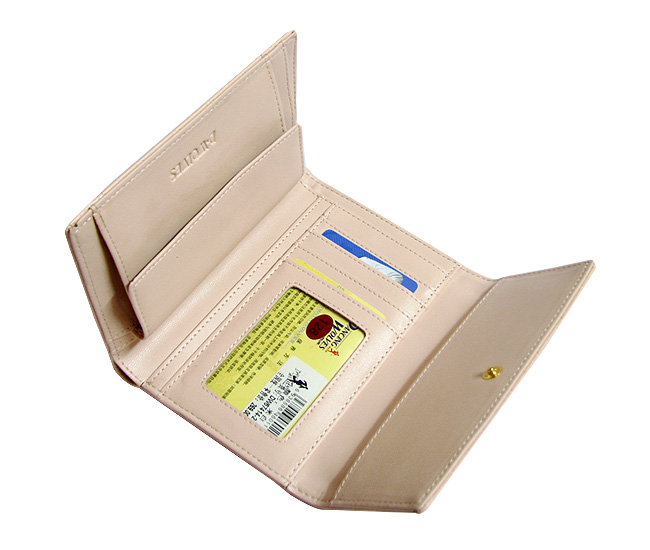 清仓价2013新款正品DW女士长款钱包竖款搭扣淑女女包三折皮夹多功能票夹 DW67414-21-第4张图